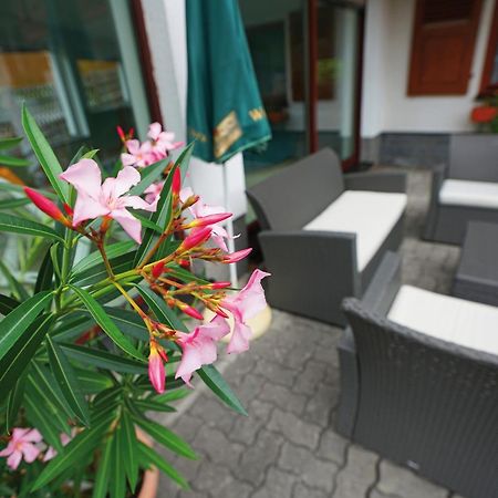 Landhotel Gasthof Zwota Klingenthal Ngoại thất bức ảnh