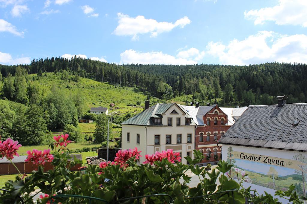 Landhotel Gasthof Zwota Klingenthal Ngoại thất bức ảnh