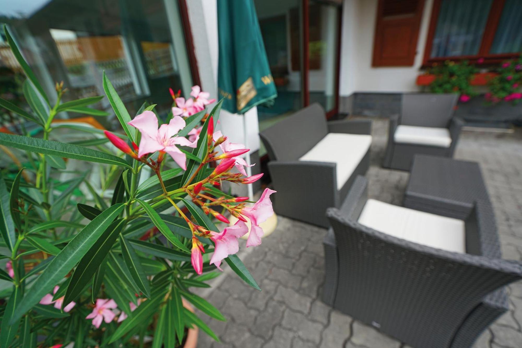 Landhotel Gasthof Zwota Klingenthal Ngoại thất bức ảnh